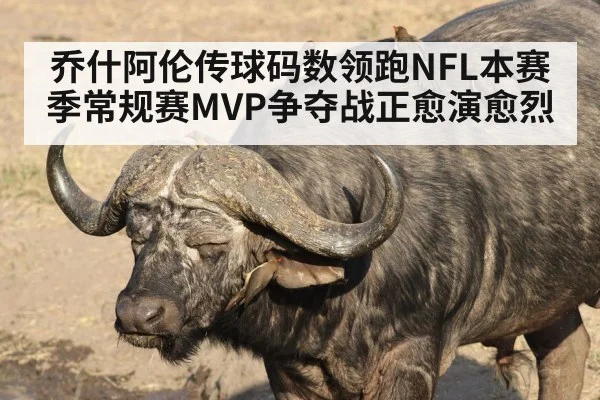 乔什阿伦传球码数领跑NFL本赛季常规赛MVP争夺战正愈演愈烈