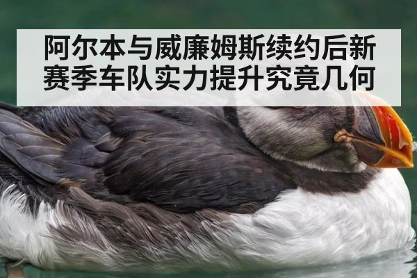 阿尔本与威廉姆斯续约后新赛季车队实力提升究竟几何